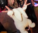 Sienna Entertainment