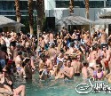 Sienna Entertainment