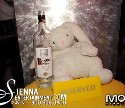 Sienna Entertainment