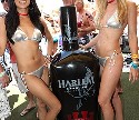 Sienna Entertainment