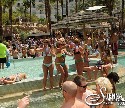Sienna Entertainment